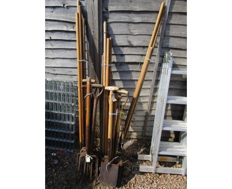 Collection of garden tools
