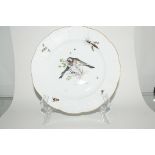 Zwei Teller mit Vogelmalerei , Meissen
