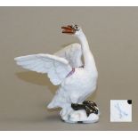 Schwan