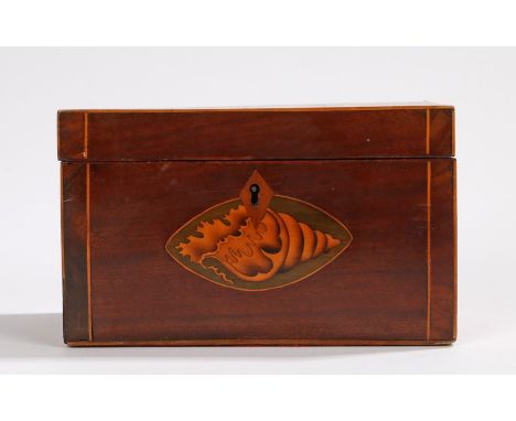 George III mahogany and inlaid tea caddy, with a shell inlaid to the top and front with boxwood edging, the lid opening to re