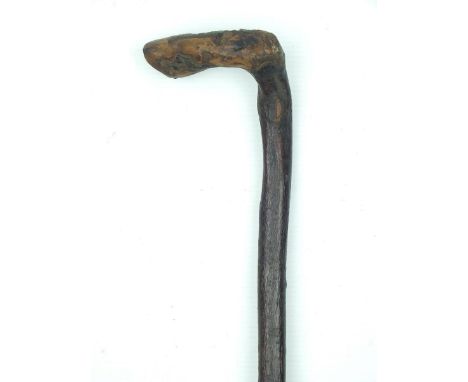 Natural form walking stick from the estate of Field Marshal Garnet Joseph Wolseley, 99.5cm over all length, bent burr handle.