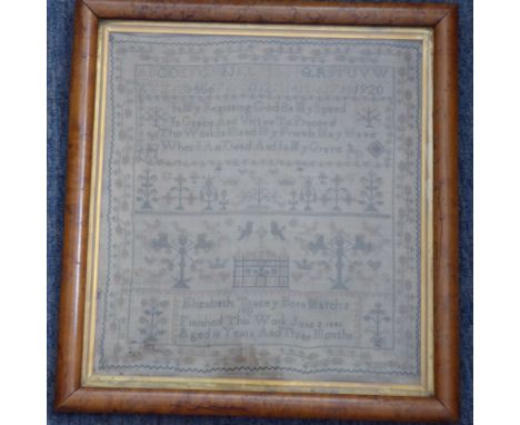A maple-framed and glazed early Victorian sampler with alphabet, numerals, text and other motifs: Elizabeth Tracey, finished 