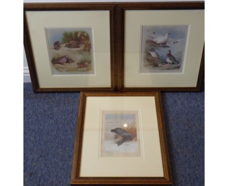 A pair of gilt-framed and glazed colour plates after Archibald Thorburn detailing Common Partridge, Red Legged Partridge and 