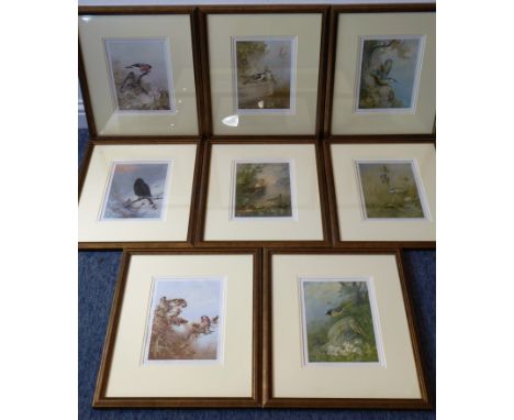 A good set of eight early 20th century colour prints after Archibald Thorburn depicting various song and garden birds; publis