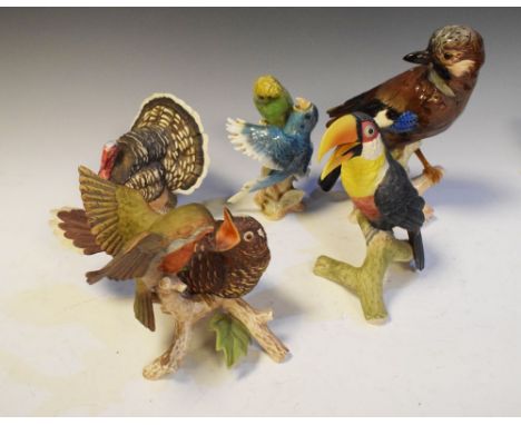 Five assorted Goebel bird figurines to include; a Toucan, Turkey, and Jay, 23cm high (5)  