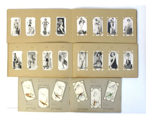 Cigarette cards. Collection of sets of cards by various cigarette manufacturers. Carreras, 1935, Celebrities of British Histo