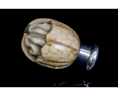 A Victorian novelty silver topped scent bottle crafted in the form of a walnut, the body constructed of ceramic, with registr