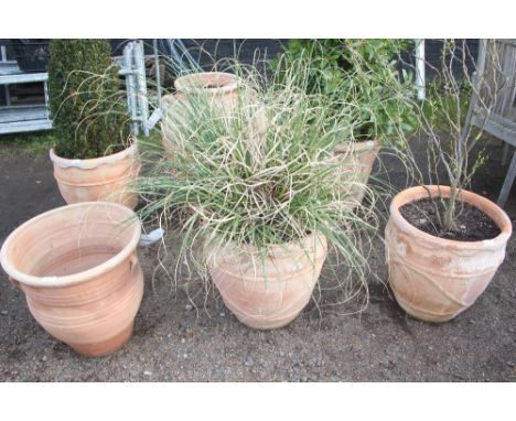 A large terracotta planter and contents of a bull rush