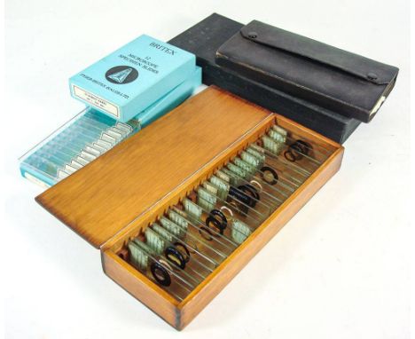 A collection of 19th & 20th century microscope slides:, including a group of slides prepared by T Brittain, some Brittax slid