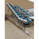 2018 Scansteel Frozen Block Incline Conveyor