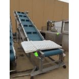 MTC Frozen Block Incline Conveyor