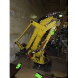 Fanuc Robot