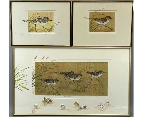 JULIE PEELEN limited edition colour prints, sixteen - (42/150) Daisy Rothchild II, (25/150) Backpacking, (3/850) Sea Creature