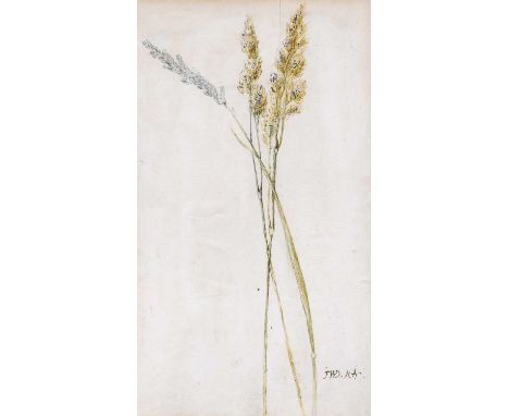 James Ward RA (1769-1859) Botanical StudySigned, watercolour, together with a pencil sketch of an elderly man, signed and ins