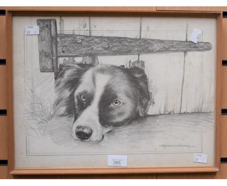 A Pollyanna Pickering framed print of a Collie dog