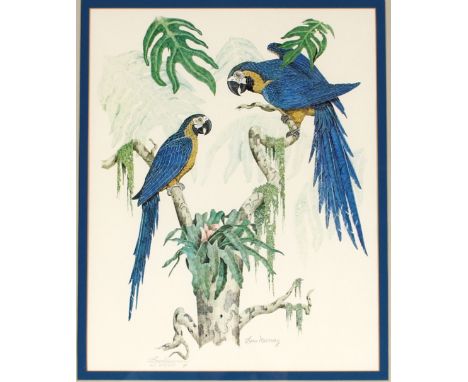 Gene Murray, American coloured print of parrots, pencil signed limited edition 79/900; and another numbered 508/800, (2)