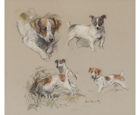 Norah Howarth, study of Jack Russell terriers in profile, Gallery label verso, signed pencil and pastel, 31cm x 35.5cm