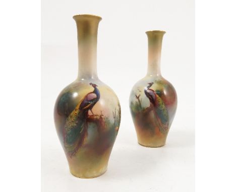 A pair of Royal Worcester vases, decorated with a peacock in a tree, by F J Bray, shape number 2491, together with another si