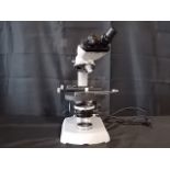 Zeiss 46 70 58-9902 Microscope, Qty 1, 330873449864