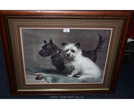 A large framed and mounted print, unsigned, depicting two West Highland Terriers.