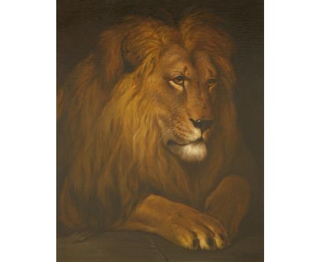 Herbert Thomas Dicksee RE (1862-1942) PORTRAIT HEAD OF A LION Signed l.l., oil on canvas 70 x 86.5cm Provenance: Sale of the 