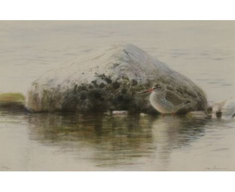 *Lars Jonsson (Swedish, b.1952) REDSHANK; CURLEW Two limited edition prints, the first signed in pencil and numbered 306/310,