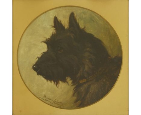 Margaret Collyer (1872-1945) PORTRAIT OF A TERRIER Signed and dated 1910 l.l., oil on canvas 25 x 25cm