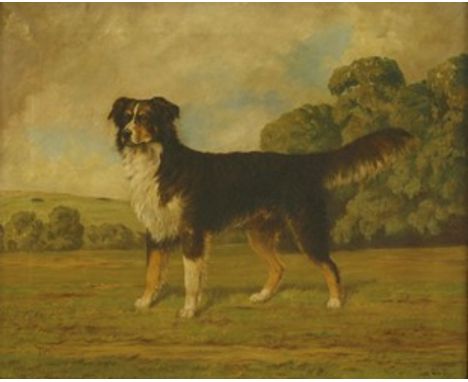 William Lucas Lucas (19th/20th century) 'TIM', A BORDER COLLIE Signed and dated 1944 l.r., oil on canvas 51 x 61cm