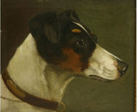 *Walter Herbert Wheeler (1878-1960) STUDY OF A SMOOTH COAT TERRIER Signed l.c., oil on board 16.5 x 18cm Artist's Resale Righ