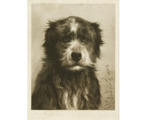 Joseph B Pratt (1854-1910) after Rosa Bonheur (French, 1822-1899) HEAD OF A TERRIER DOG Signed in pencil by both artists, pub