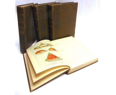 [HOUSEHOLD MANAGEMENT]  Cassell's Book of the Household, special edition, four volumes, Cassell, London, no date, original cl