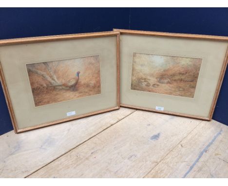 VINCENT R BALFOUR BROWNE water colours a pair, "Cock pheasant" &amp; "Partridge with chicks" each signed with initials dated 