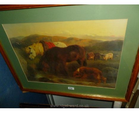 A Print of Horses