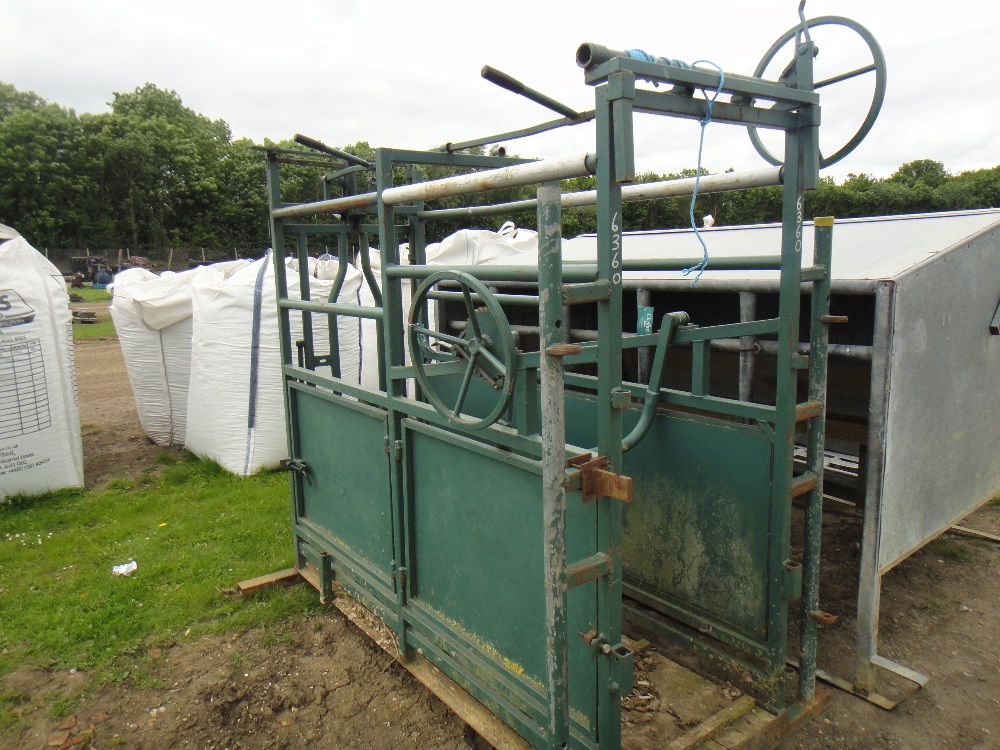 Cattle Crush with Self Locking Yoke And Foot Trimming Attachment