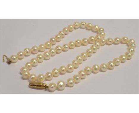 A 14KT GOLD CLASP VINTAGE PEARL CHOKER double knotted between each pearl, choker length approx. 38.5cm, weighing 17.5grams Co