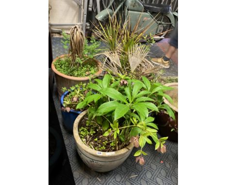 FOUR CERAMIC POTS &amp; 1 TERRACOTTA