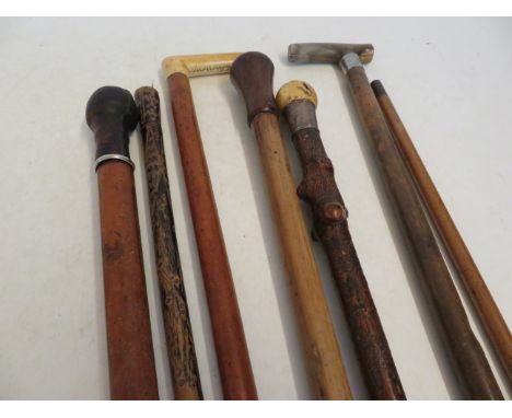 6 Walking sticks &amp; 1 measuring stick 