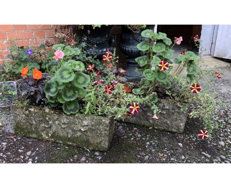 A pair of composite stone trough planters, 61x23x22cmH; with Petunias, Geraniums, and Begonias