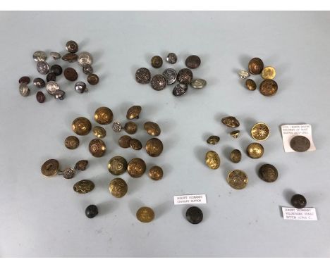 Militaria interest, collection of British regimental buttons relating to Devon and Dorset, to include Victorian, and numbered