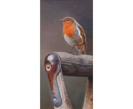 Andrew Hutchinson (b.1961) "Garden Companion", study of a Robin on a spade handle Signed, watercolour and gouache, 26.5cm by 
