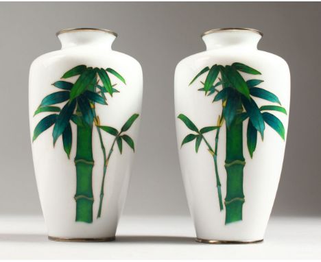 A GOOD PAIR OF JAPANESE WHITE GROUND CLOISONNE ENAMEL VASES with coloured bamboo. 7.5ins high.
