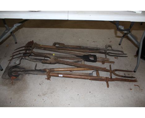 A quantity of long handled tools including lawn edger, peat spade, thistle removers etc.  