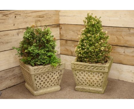Pair composite stone square tapering planters with Celtic decoration, planted with shrubs, H85cm (overall max)