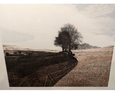 Phil Greenwod (British, b.1943-) Winter Ridgesigned, dated and inscribed by the artist in penciletching and aquatint42.5cm x 