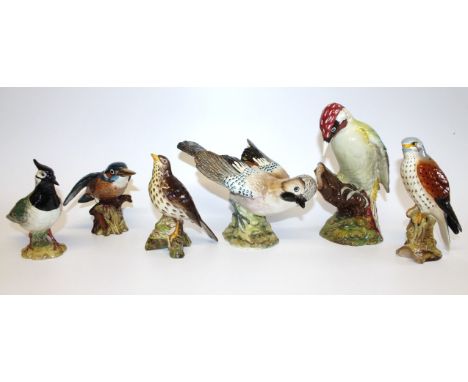 A Beswick lapwing, numbered 2416, with black Beswick stamps to underside, 15cm high, a Beswick bird, numbered 2308, with brow