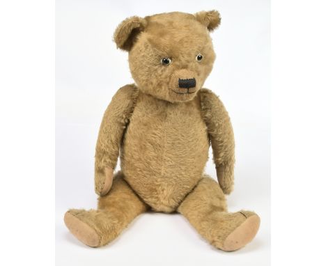 British golden mohair vintage teddy bear, clear glass eyes with black pupils and remains of painted backs, black vertically s