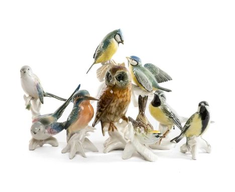 SELECTION OF KARL ENS PORCELAIN BIRDS including, Great Tit, Tawny Owl, Pair of Long Tailed Tits, Kingfisher, Jay & Pair of Bl