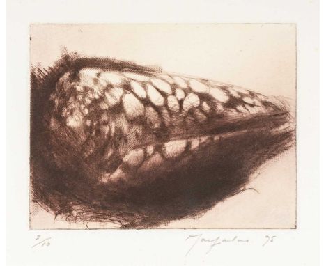 ‡JOHN MACFARLANE (b.1948) limited edition (2/10) drypoint - entitled verso 'Brown Shell' on Martin Tinney Gallery label, sign