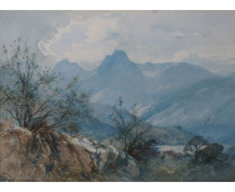 H R Wilkinson Langdale Pikes, English Lakes Watercolour Signed lower left 28 x 38cm After Banks FlorilegiaAlchornea Triplener