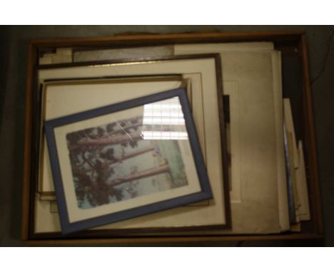 Tray of vintage Prints and Engravings to include 19th Century and a box of Limited Edition and other modern prints, rolled an
